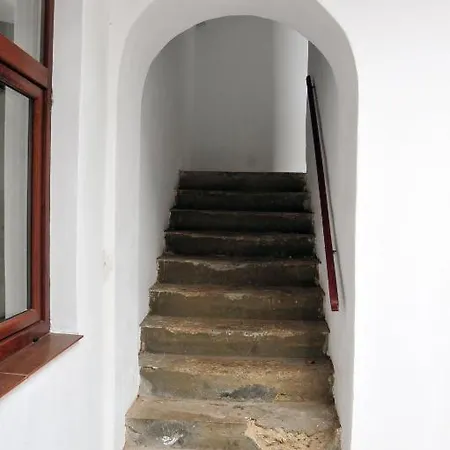 Apartment Noris